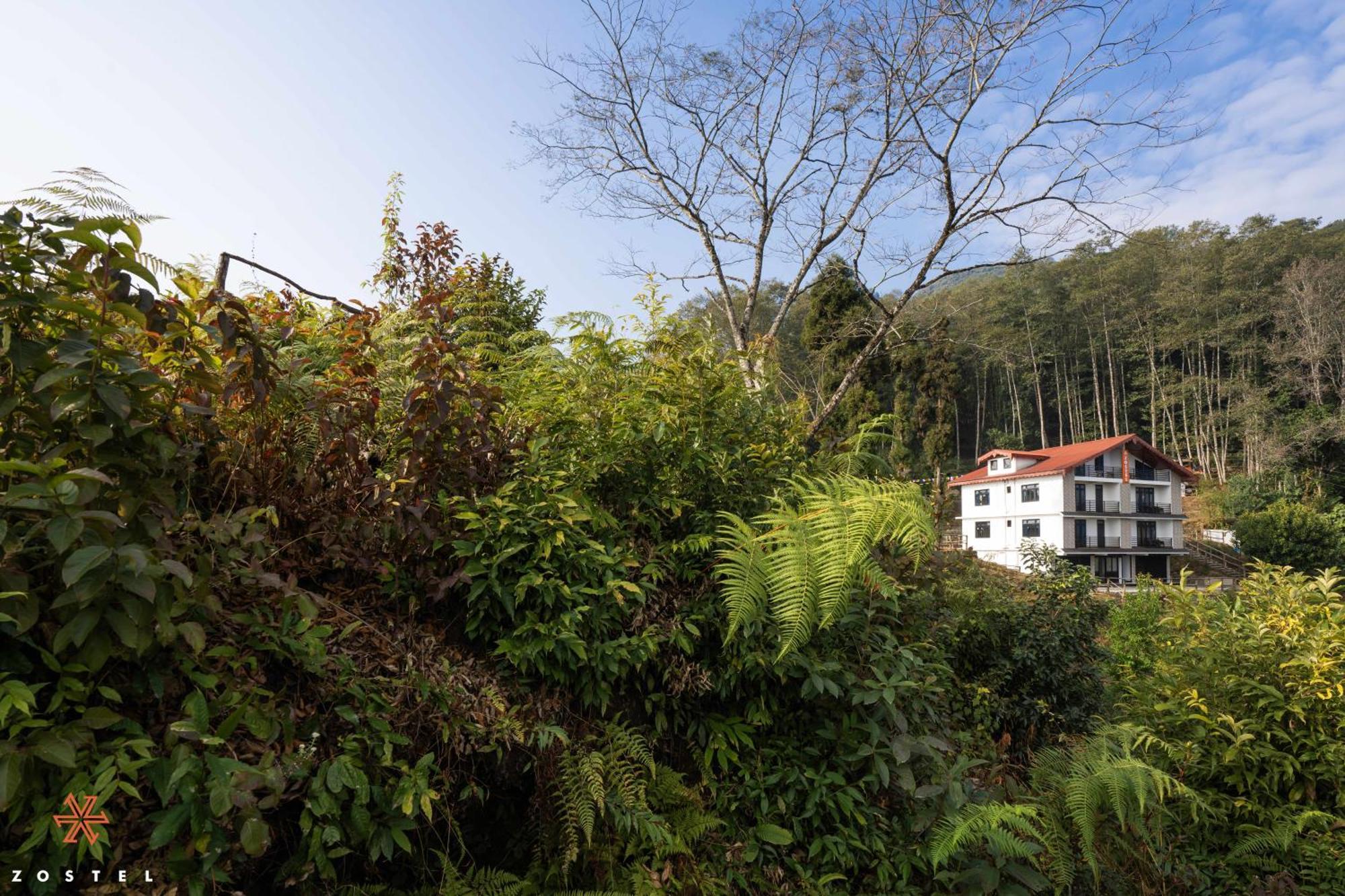 Zostel Rinchenpong Hostel Bagian luar foto